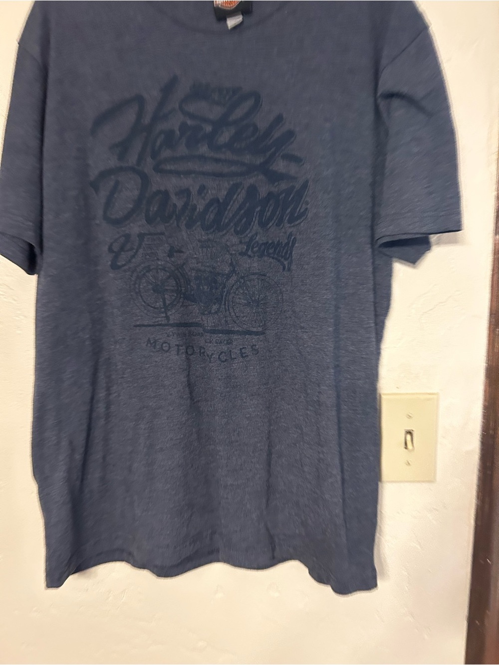 Harley-Davidson Men's Gray Graphic T-Shirt